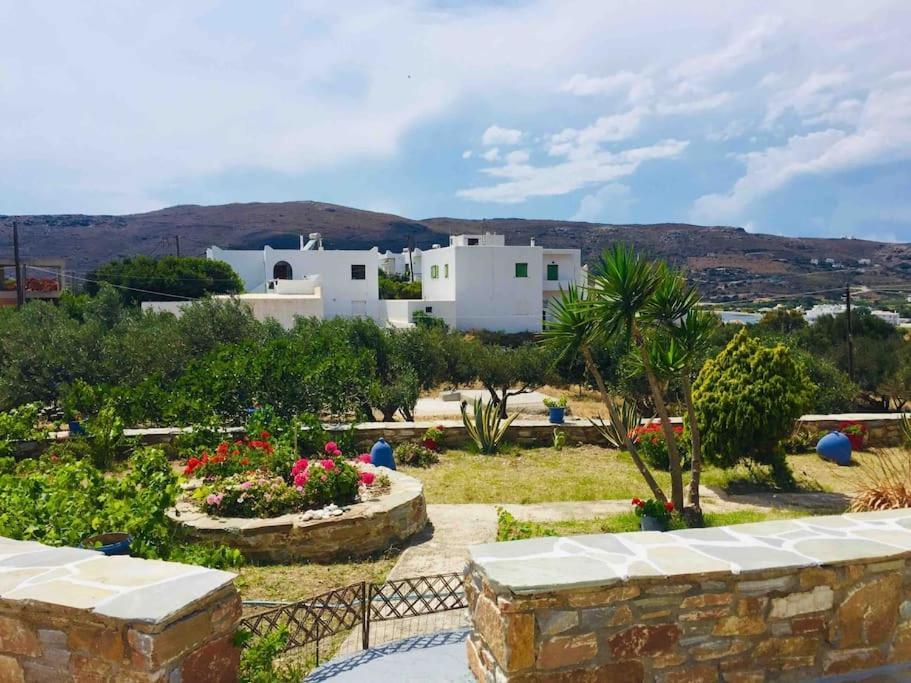 Cozy, Newly Renovated Apartment In Gavrio. Exteriér fotografie
